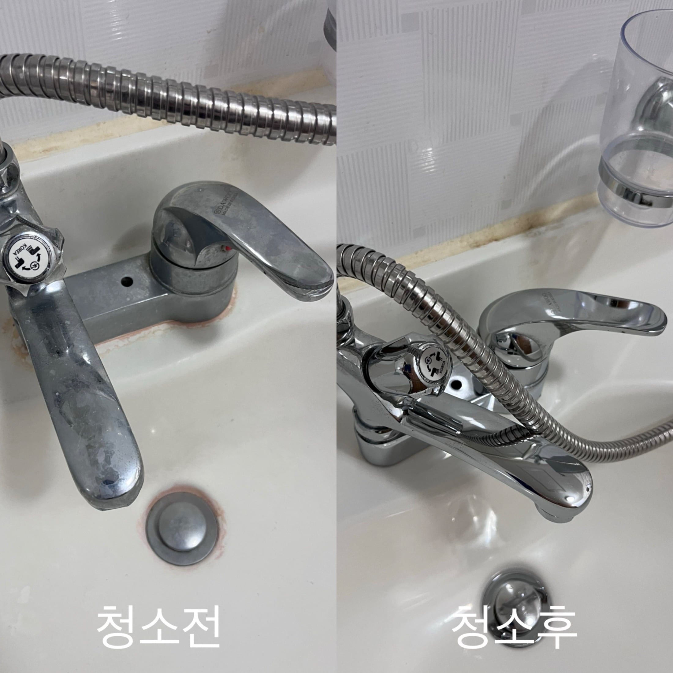 더 화이트